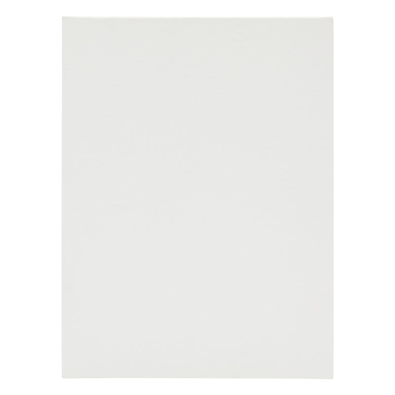 14-Pack Art Canvas, 12x16-Inch Stretched White Canvas Panel, 3mm Thick Paperboard Primed with Acid-Free Acrylic Titanium Gesso, Suitable for Acrylic and Oil Paints and Other Wet or Dry Media
