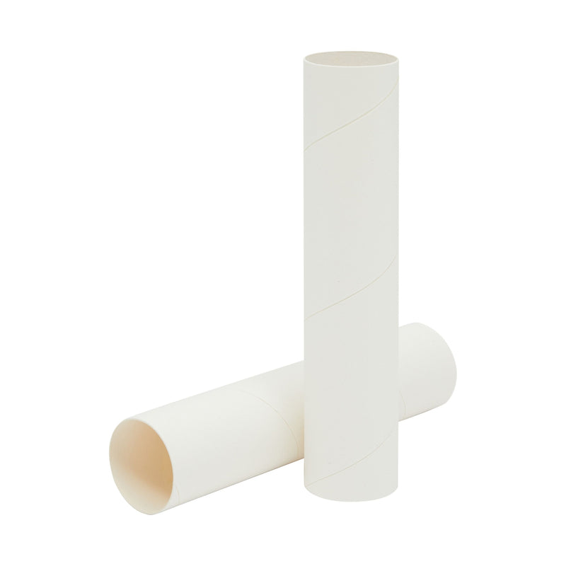 12 Rolls Cardboard Tubes for Crafts, DIY, Classroom Projects,  8 Inches, White