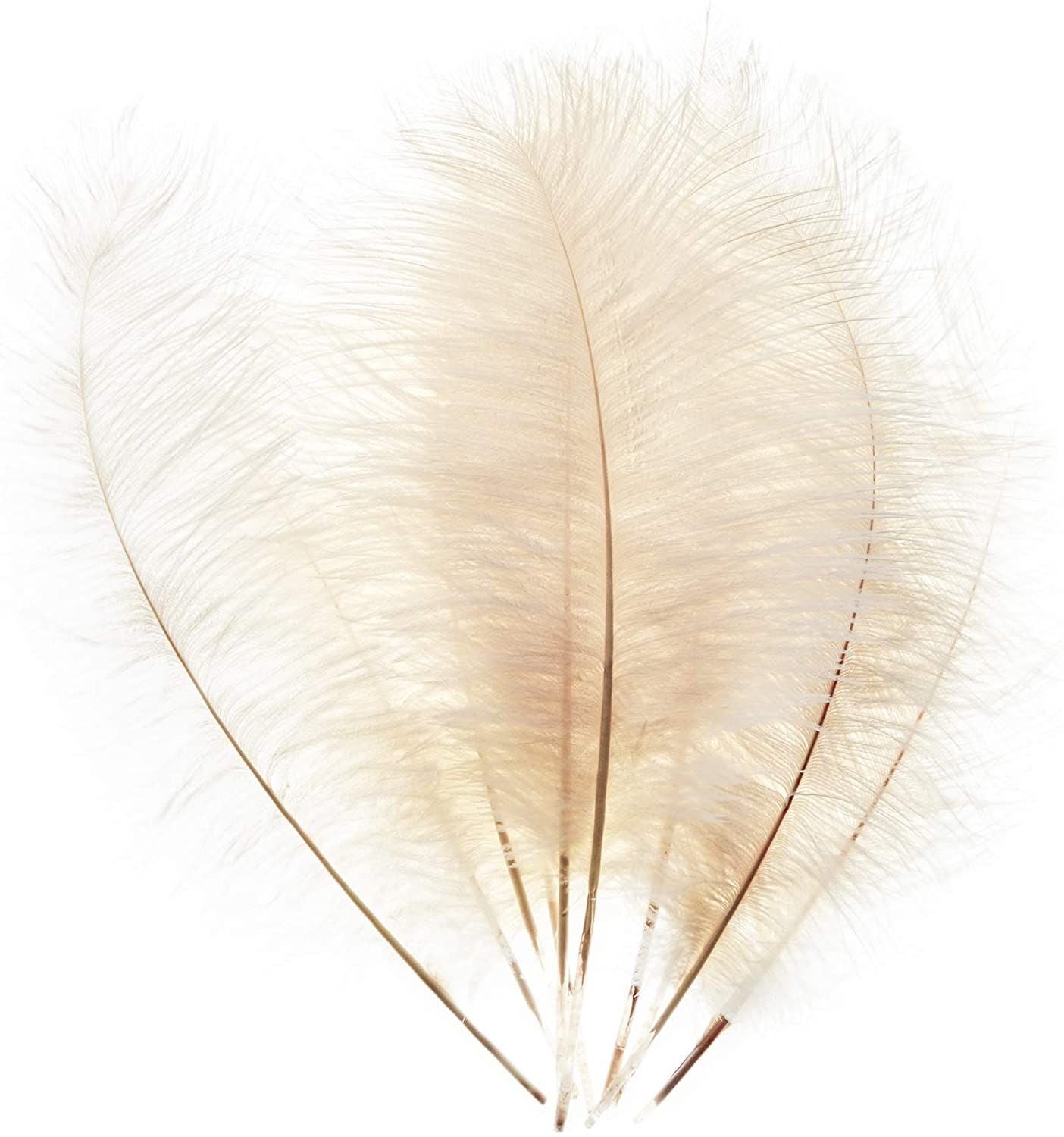 Bright Creations 12 Pack Ostrich Feather Plumes 12 14 for Crafts, Home, Wedding & Party Decorations, Green