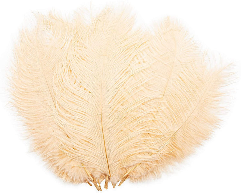 14-Pack Ostrich Feathers, Artificial Feather Plumes for Arts and Crafts, Faux Bird Plumage Trim for Costume and Outfit Decorations, 12-14-Inch Quills for Home Decor (Champagne)