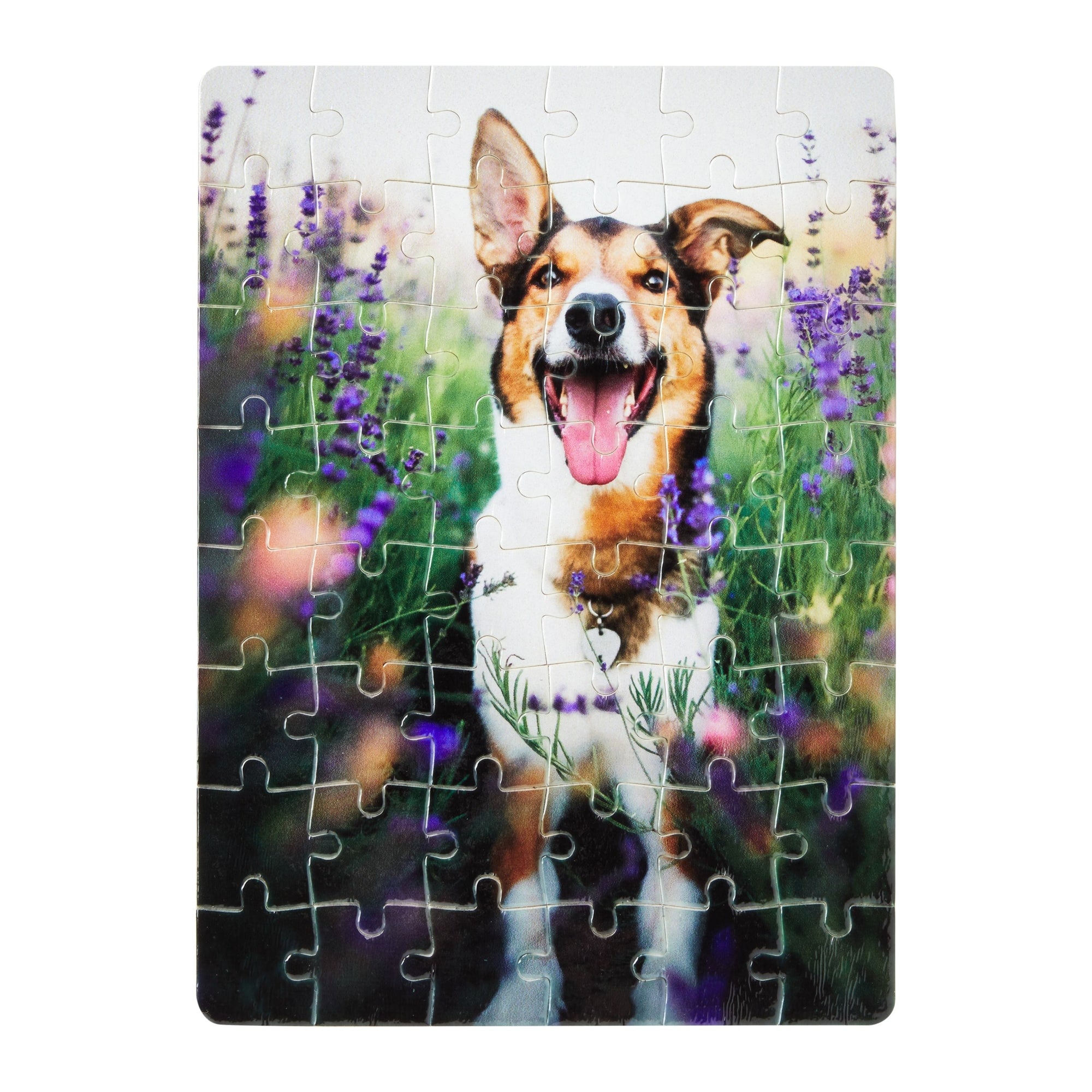 10 Pack A4 Blank Sublimation Puzzles, Custom Puzzle for DIY Crafts, White  Cardboard Heat Press Jigsaw, 120 Pieces, Bulk