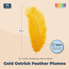 Gold Ostrich Feather Plumes for Crafts, Wedding, Home Decor (10-12 in, 12 Pack)