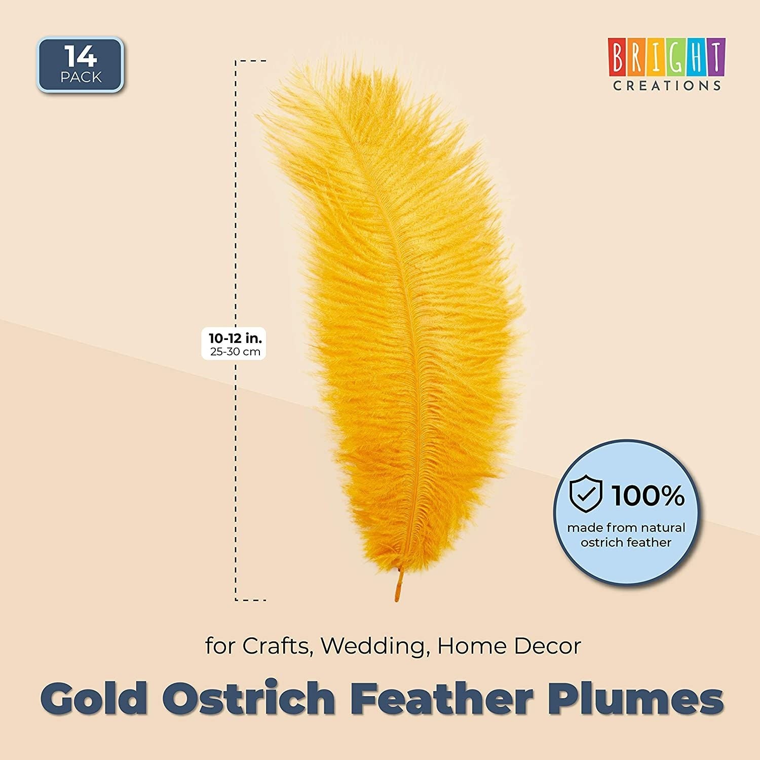 Gold Ostrich Feather Plumes for Crafts, Wedding, Home Decor (10-12 in, –  BrightCreationsOfficial