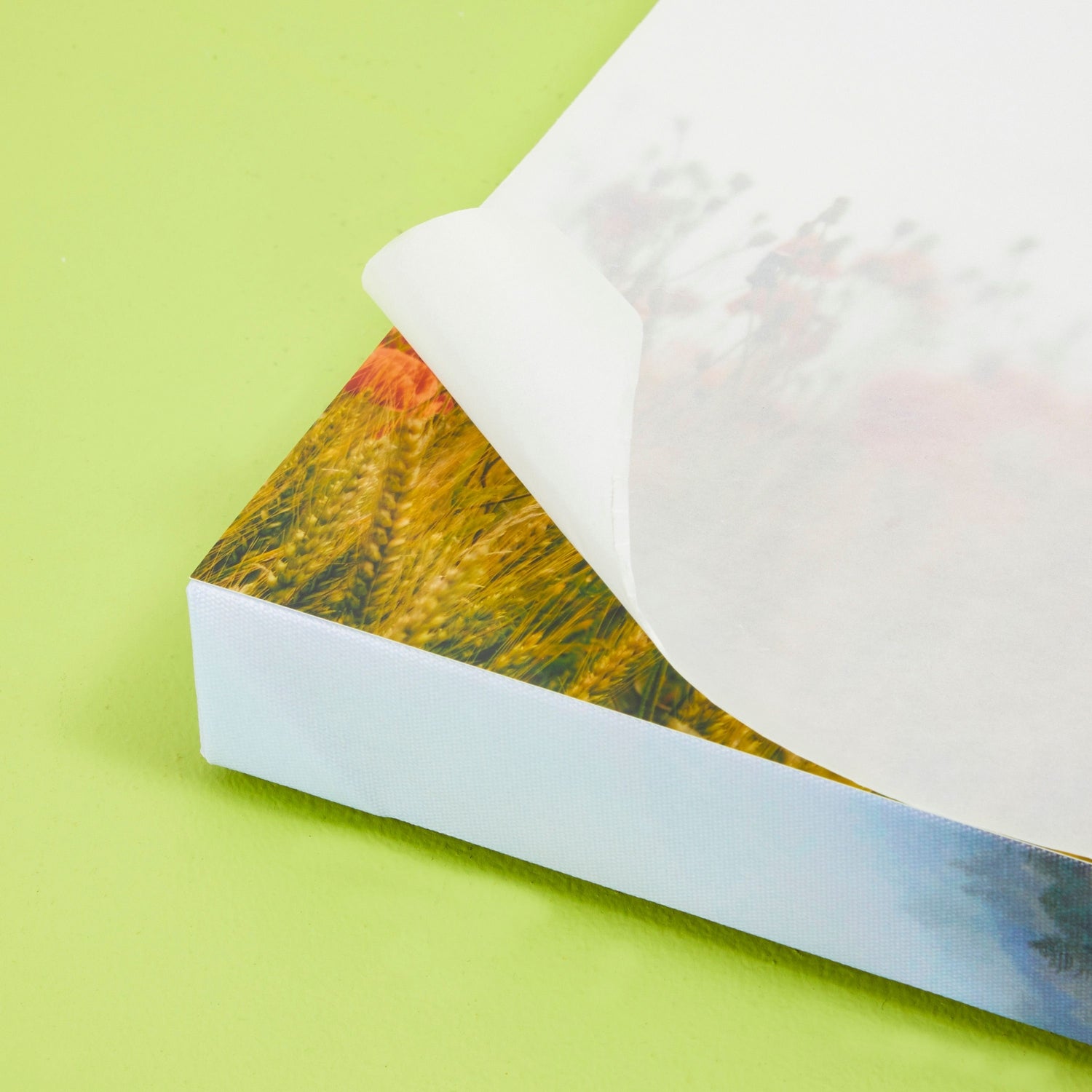Glassine Paper Sheets for Artwork (16 x 20 in, 100 Pack