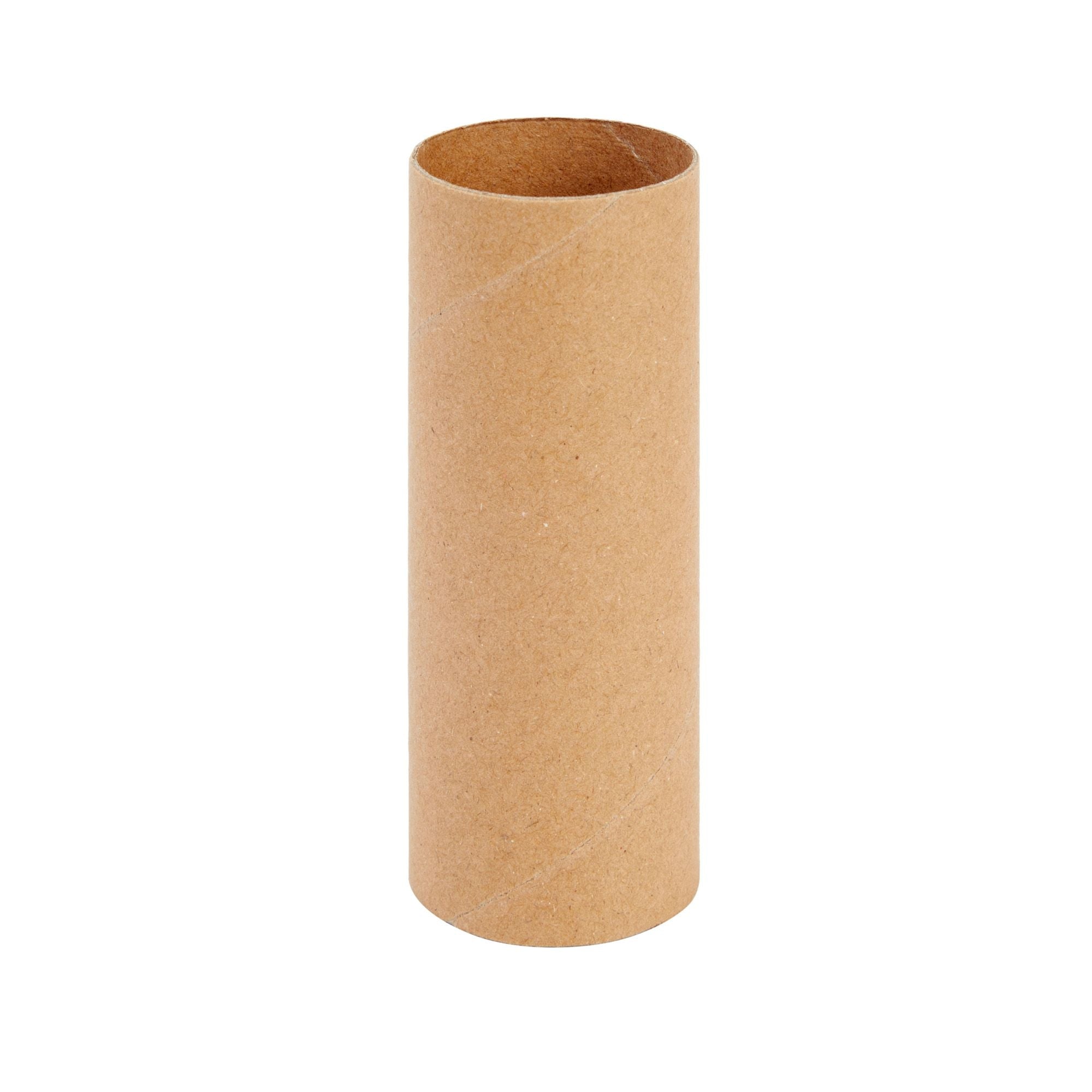 48 Pack Empty Toilet Paper Rolls for Crafts, Brown Cardboard Tubes for –  BrightCreationsOfficial