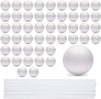 24 Foam Balls and 24 Dowels Set for DIY Arts and Crafts (48 Pieces)