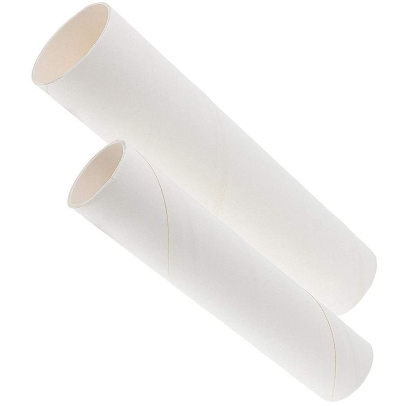 24 Pack White Cardboard Tube, Craft Toilet Paper Rolls for Kids, DIY  Classroom Art Projects, 10 inch