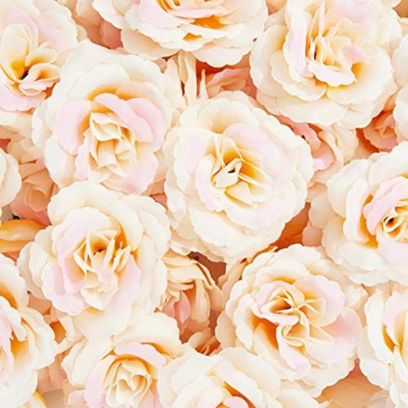 Bright Creations Artificial Silk Rose Flower Heads for Decorations (Champagne, 50 Pack)