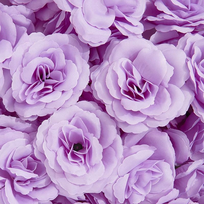 Purple Rose Flower Backgrounds