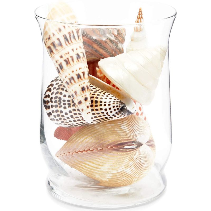 Ivory Seashell Flower Stems - 1 Dozen (12) Stems – Heirloom Hourglass