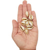 Dangle Charms for DIY Jewelry Making, Cowrie Sea Shell (0.7-0.8 In, 12 Pack)