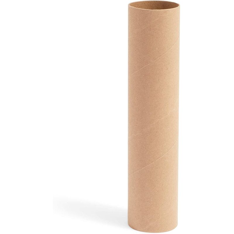 Bright Creations 30 Pack 8 inch Cardboard Tubes, Empty Toilet Paper Rolls for Crafts and Art Projects, DIY Brown Crafting Paper Roll, 1.6 x 8.0 Inches