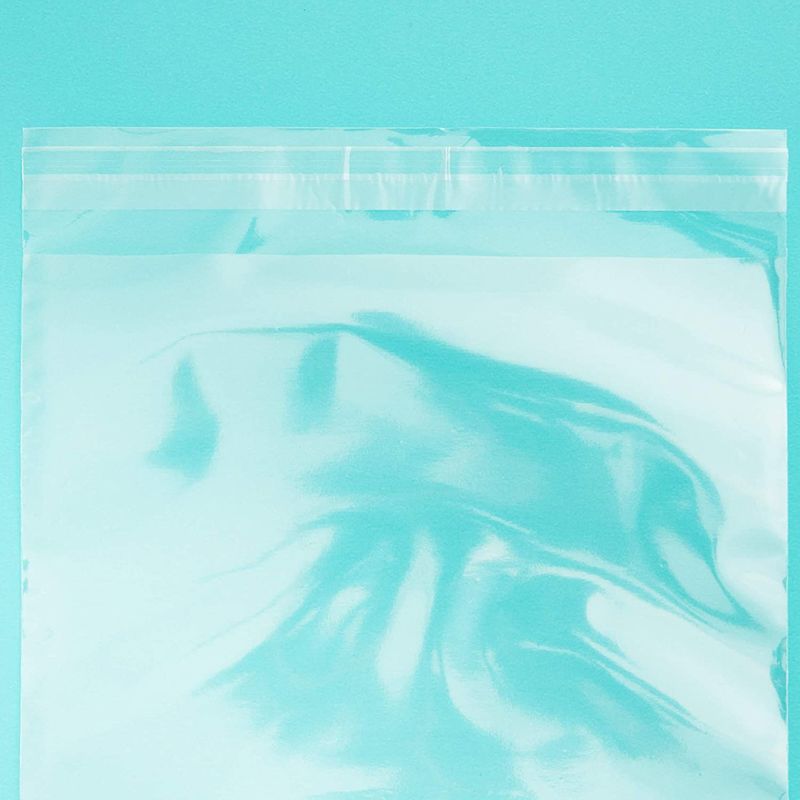 Clear Cello Bags, Resealable Cellophane Bag (300 Pack)