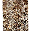 Iron-on Heat Transfer Vinyl, Leopard Cheetah Pattern (11.8 x 9.8 in, 5 Pack