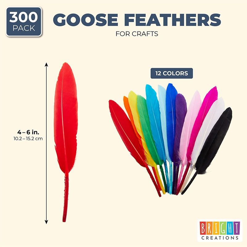 Goose Feathers for Crafts, Costumes, Decorations, 12 Colors (4-6 in, 300 Pieces)