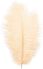 14-Pack Ostrich Feathers, Artificial Feather Plumes for Arts and Crafts, Faux Bird Plumage Trim for Costume and Outfit Decorations, 12-14-Inch Quills for Home Decor (Champagne)
